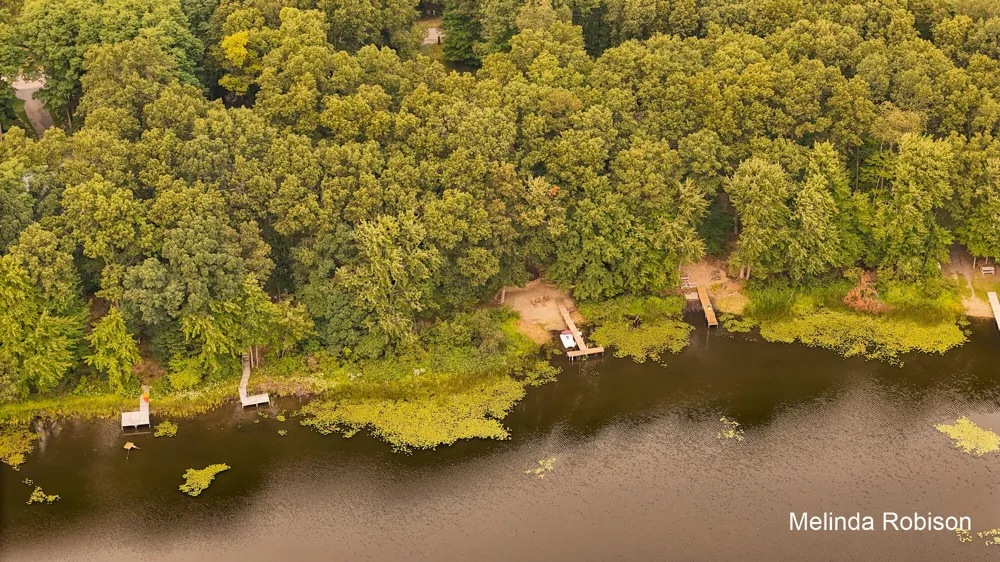 11020 Crawford Lake Trail Cedar Springs, MI 49319