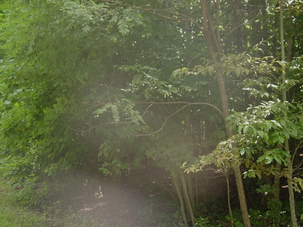 #13 Dan Knob Hayesville, NC 28904