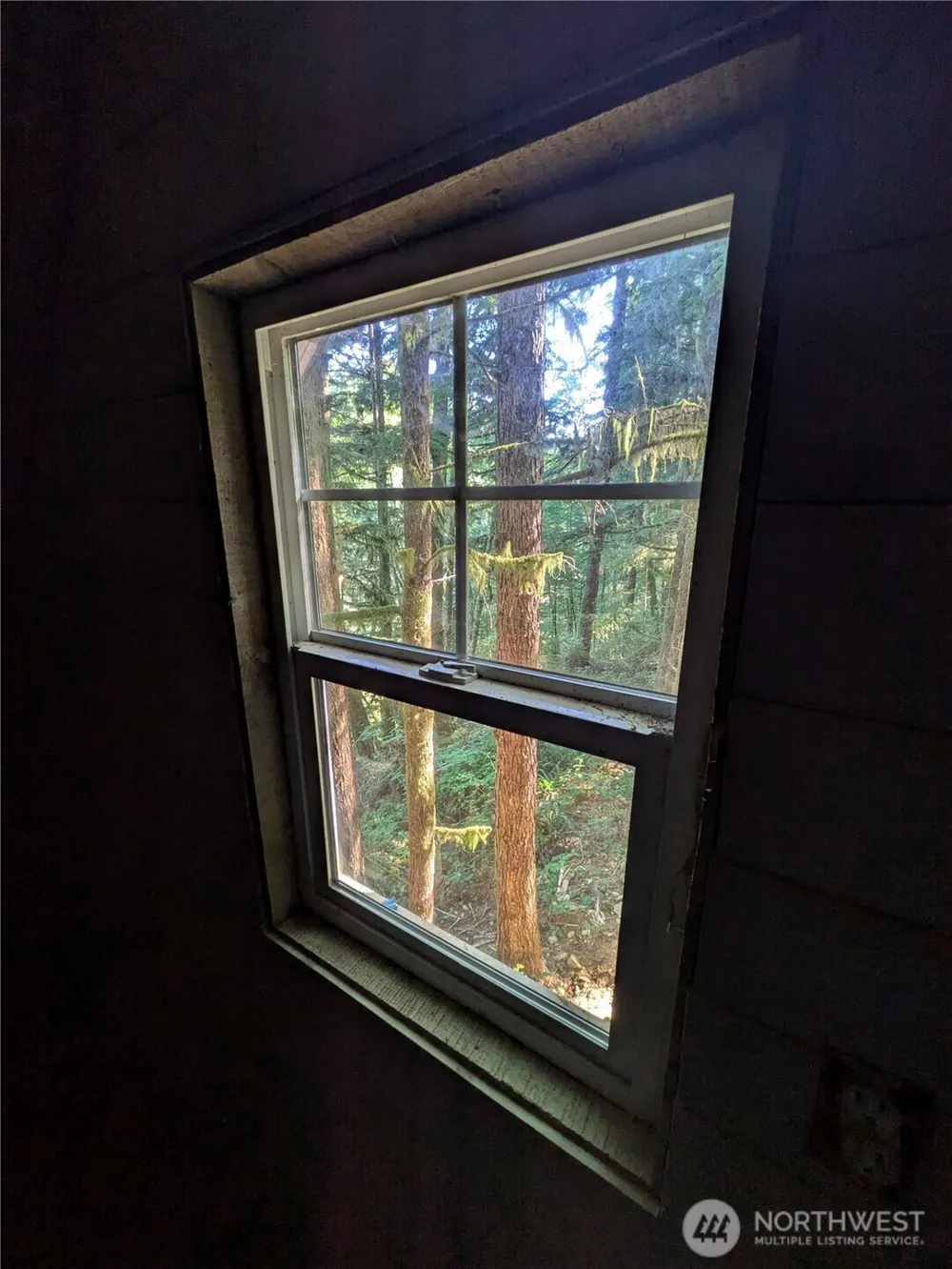 0 Lot 8 Riverbend Road Forks, WA 98331