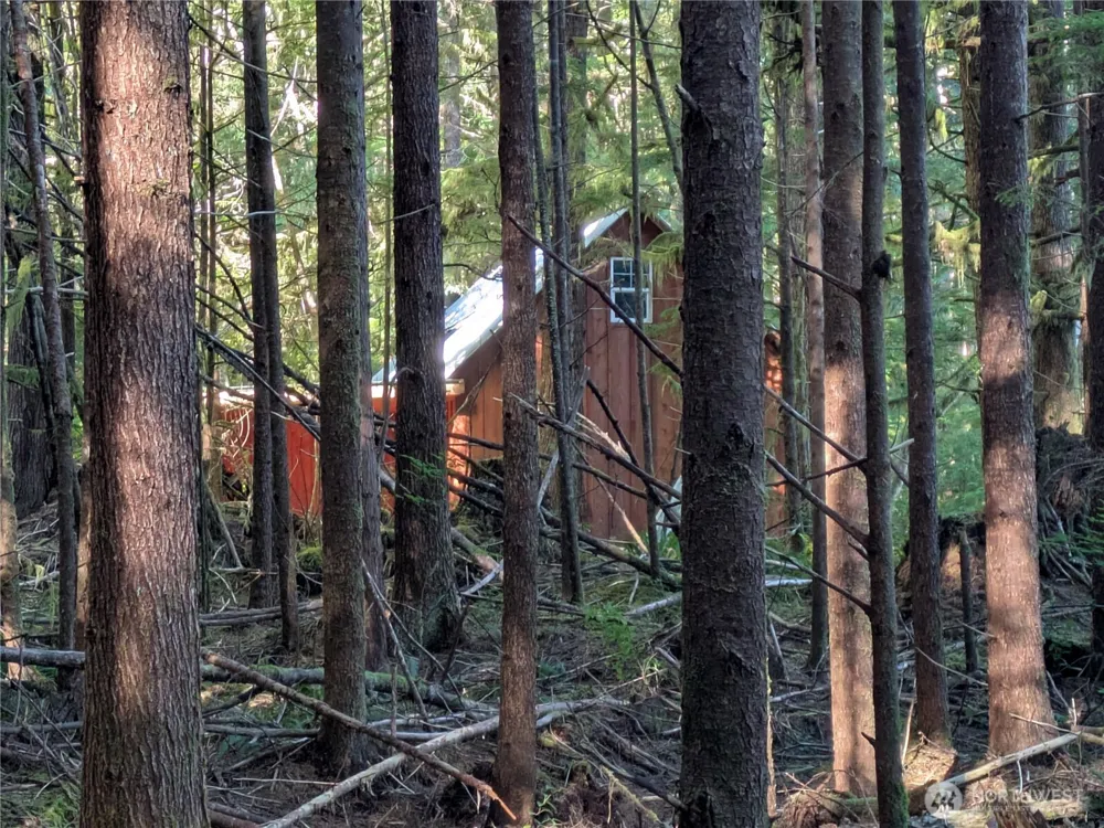 0 Lot 8 Riverbend Road Forks, WA 98331