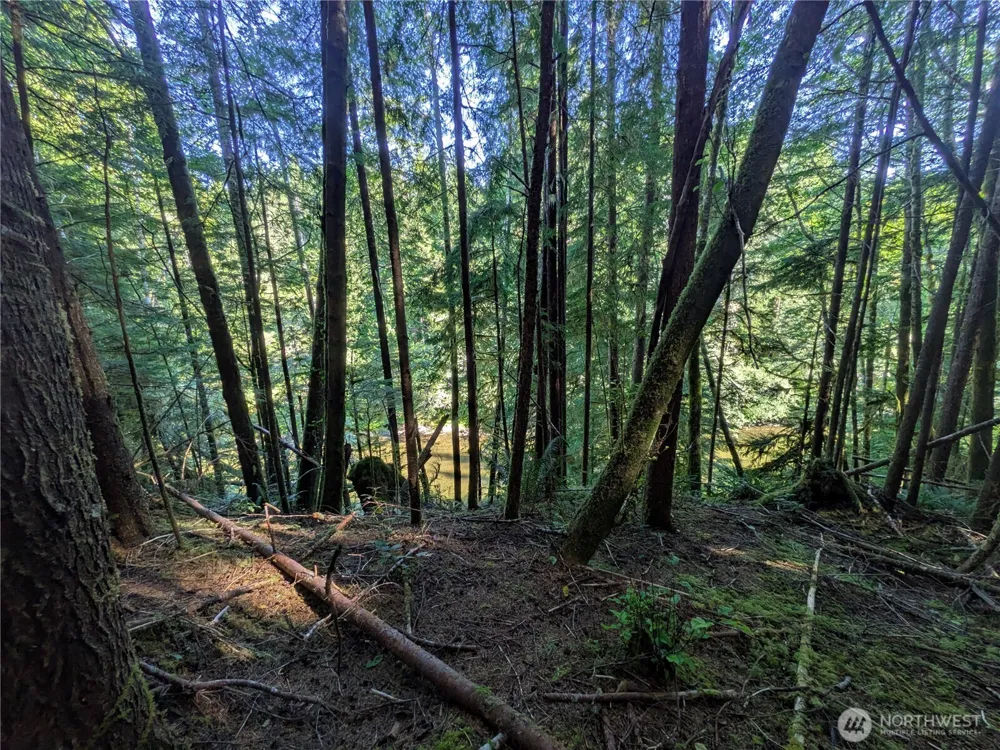 0 Lot 8 Riverbend Road Forks, WA 98331