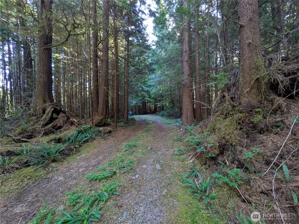 0 Lot 8 Riverbend Road Forks, WA 98331