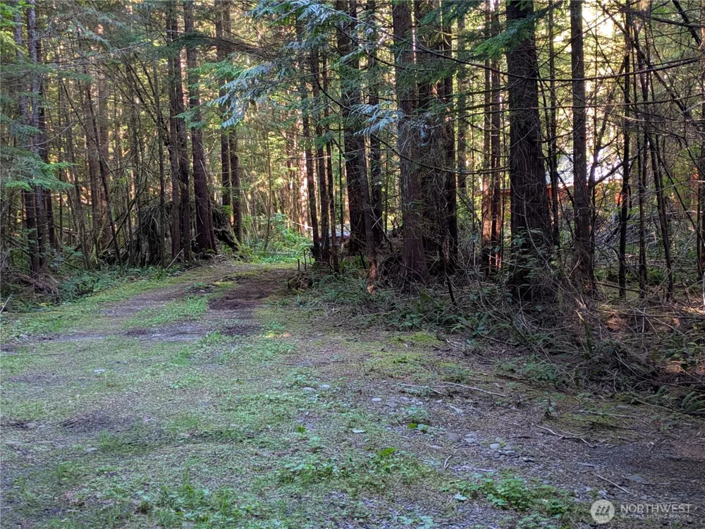 0 Lot 8 Riverbend Road Forks, WA 98331