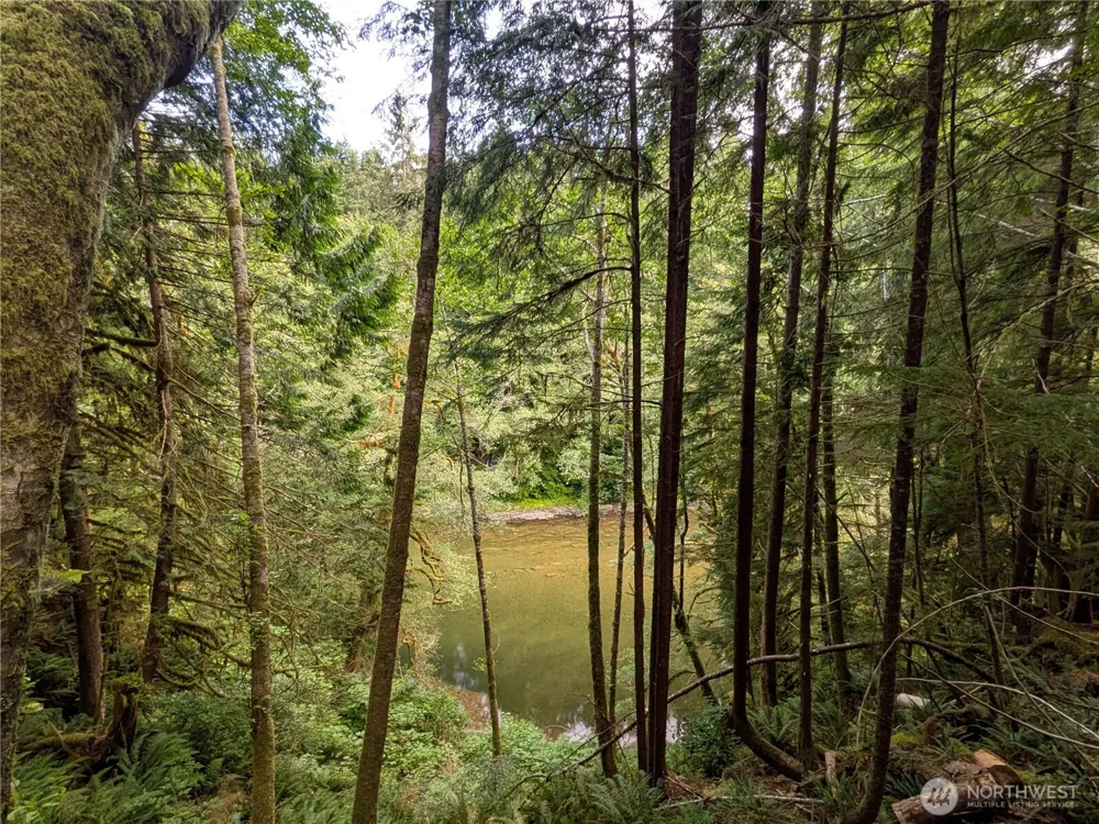 0 Lot 8 Riverbend Road Forks, WA 98331