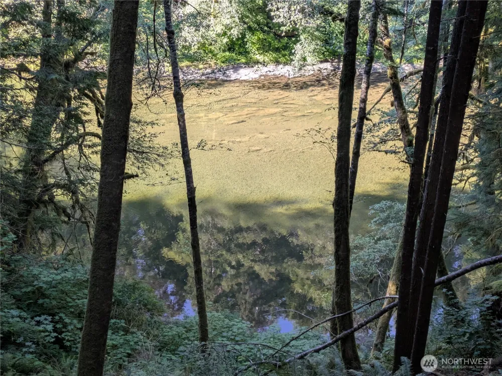 0 Lot 8 Riverbend Road Forks, WA 98331