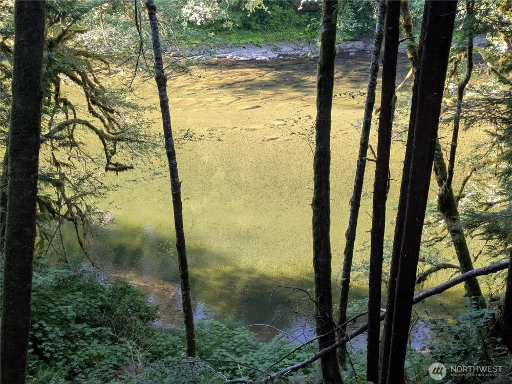 0 Lot 8 Riverbend Road Forks, WA 98331