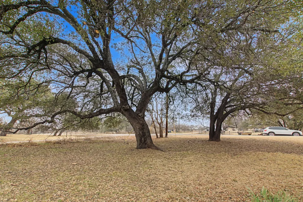 4308 Mountain View Drive Kingsland, TX 78639