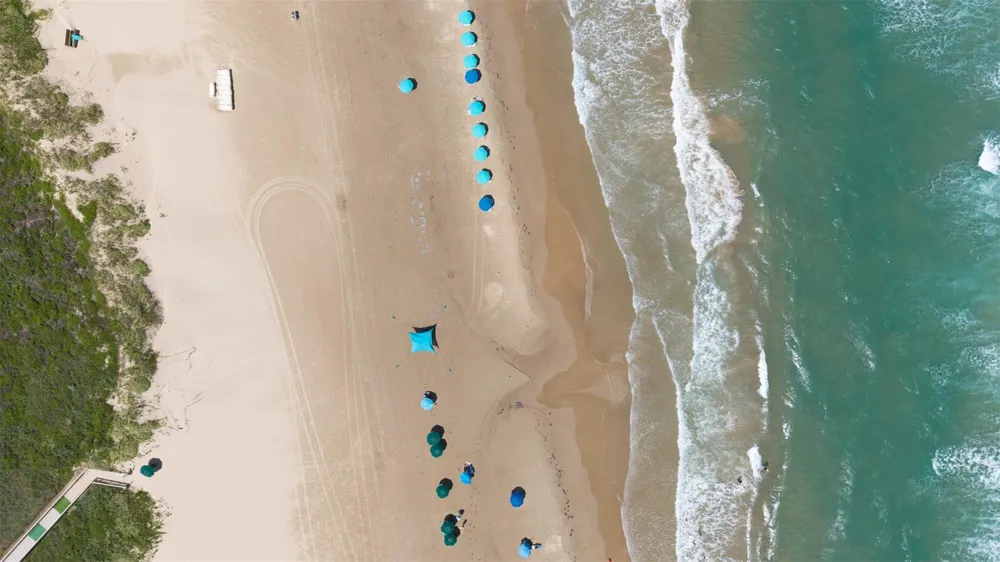 310 Padre Boulevard #1219 South Padre Island, TX 78597