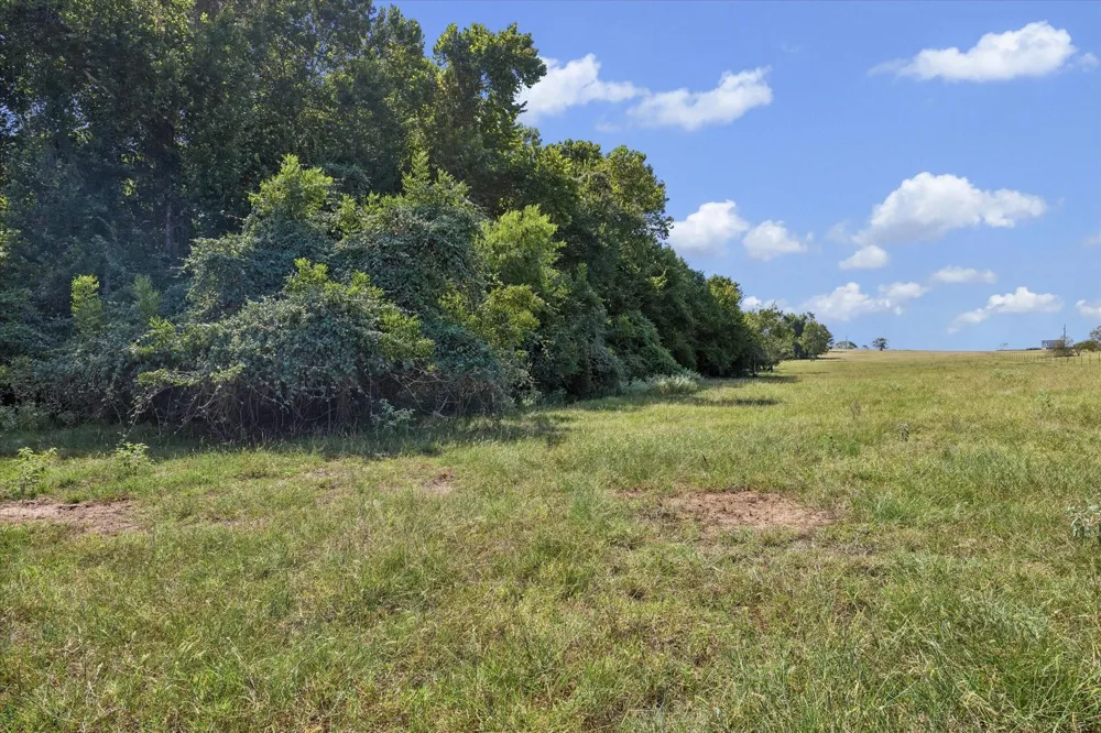 Ripple Lane New Ulm, TX 78950