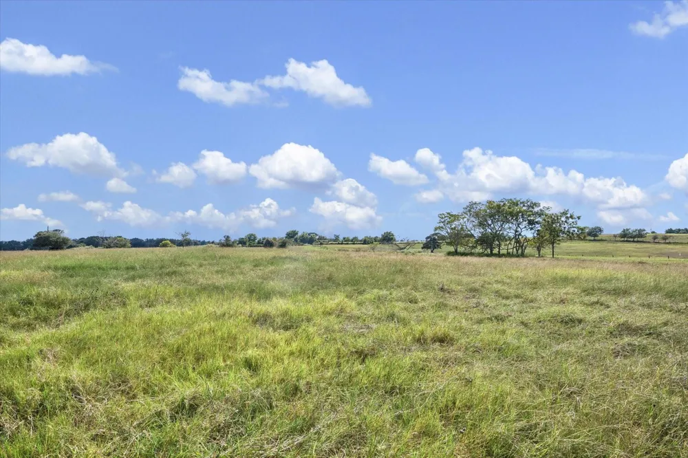 Ripple Lane New Ulm, TX 78950