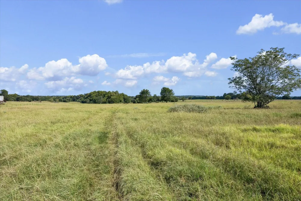 Ripple Lane New Ulm, TX 78950