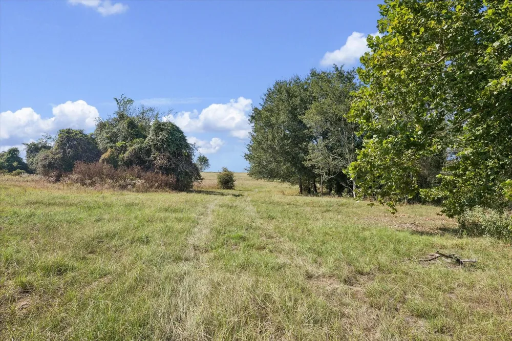 Ripple Lane New Ulm, TX 78950