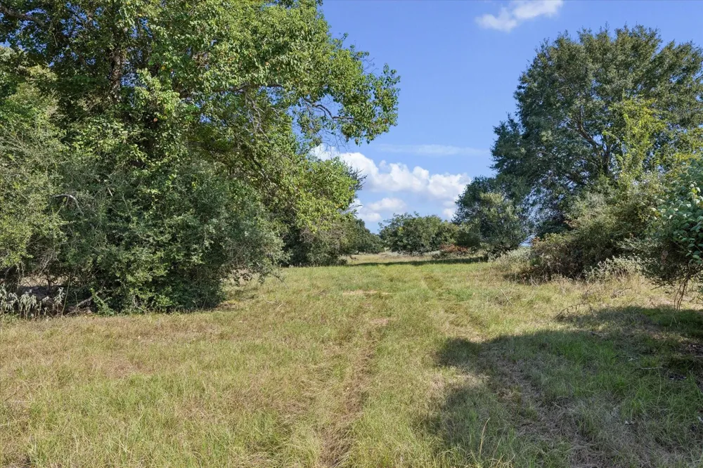 Ripple Lane New Ulm, TX 78950