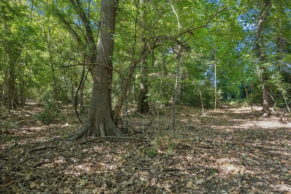 Ripple Lane New Ulm, TX 78950
