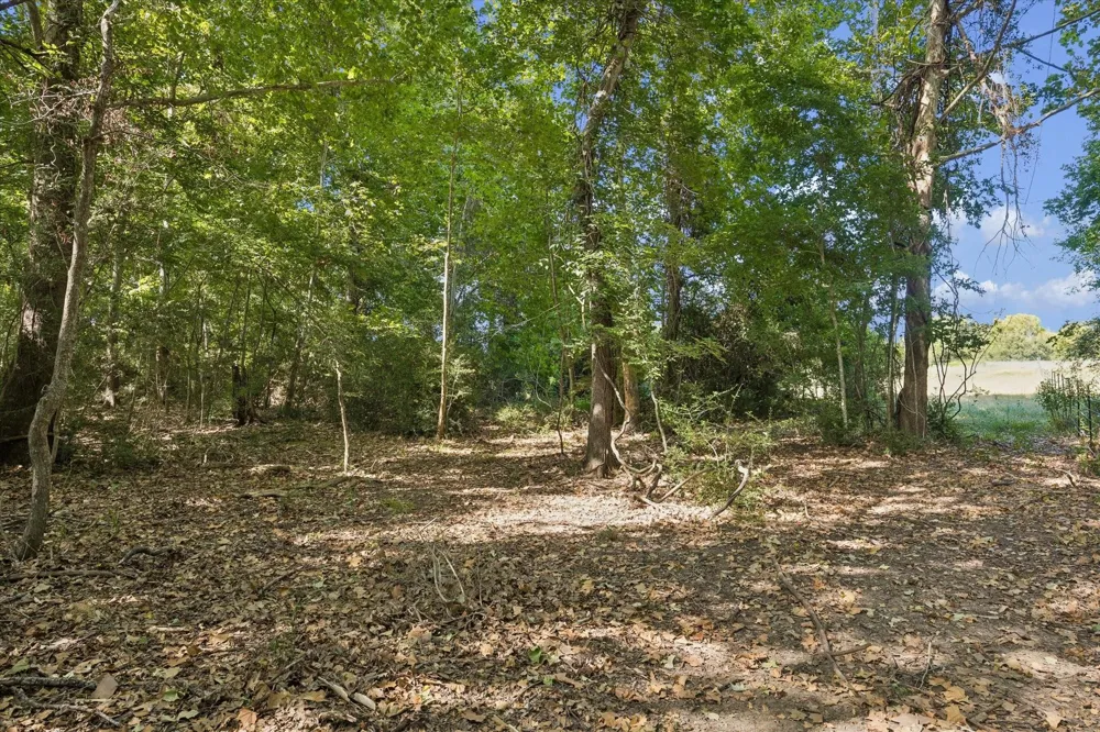 Ripple Lane New Ulm, TX 78950