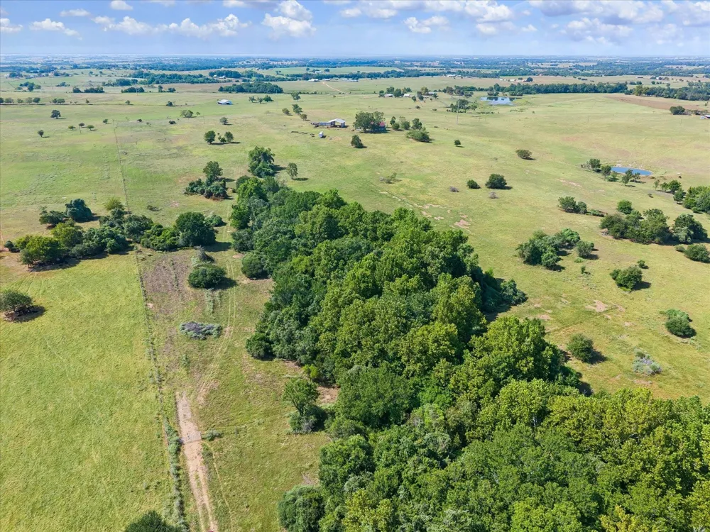 Ripple Lane New Ulm, TX 78950
