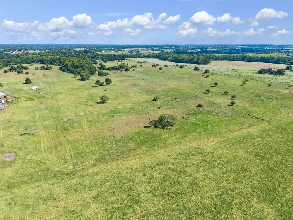 Ripple Lane New Ulm, TX 78950