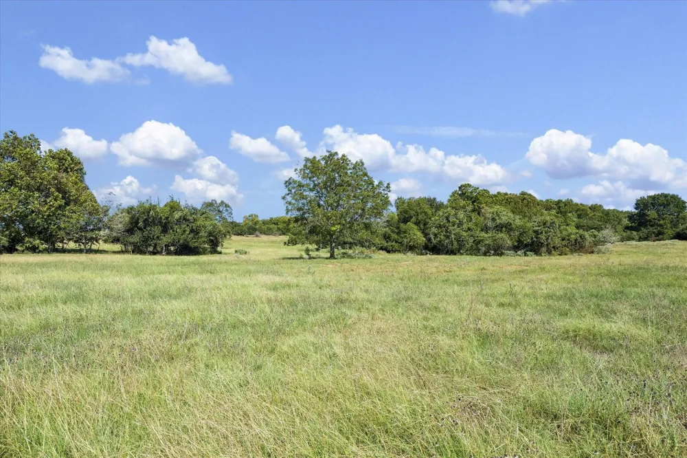 Ripple Lane New Ulm, TX 78950