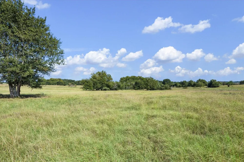 Ripple Lane New Ulm, TX 78950