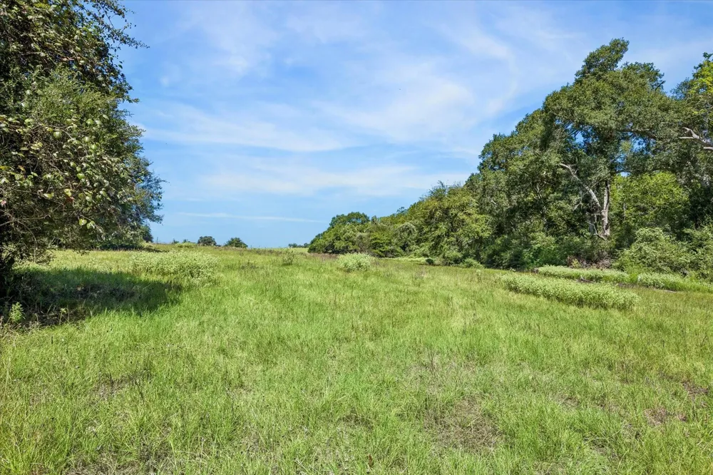 Ripple Lane New Ulm, TX 78950