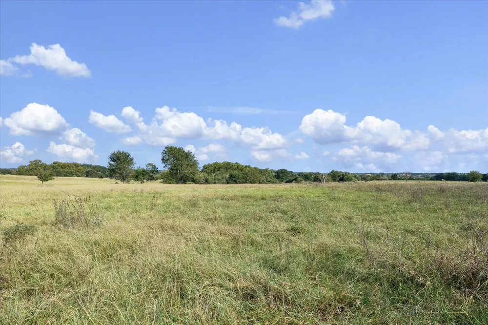 Ripple Lane New Ulm, TX 78950