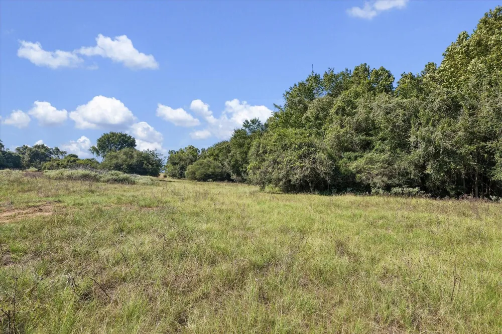 Ripple Lane New Ulm, TX 78950
