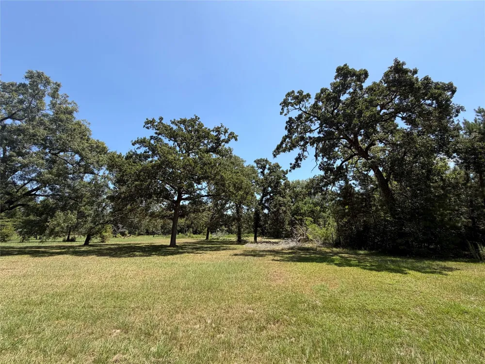 Vale Lane Porter, TX 77365