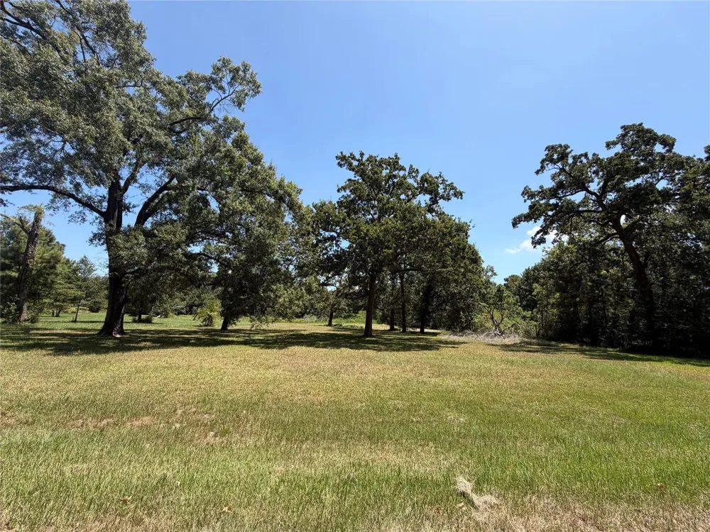 Vale Lane Porter, TX 77365