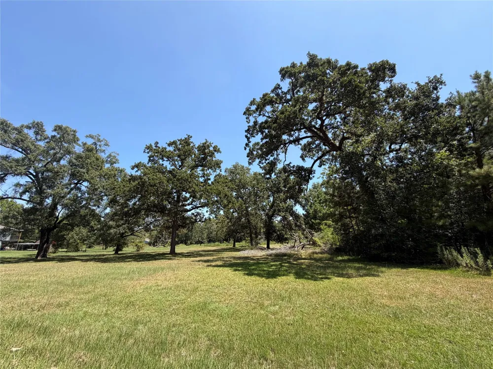 Vale Lane Porter, TX 77365