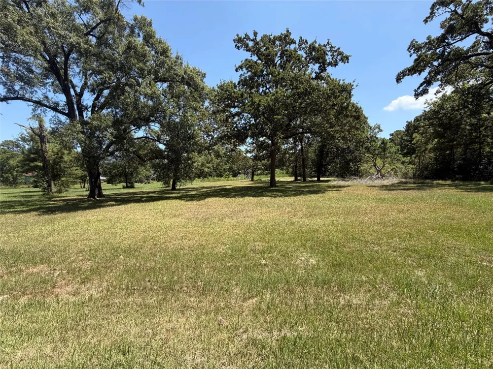 Vale Lane Porter, TX 77365