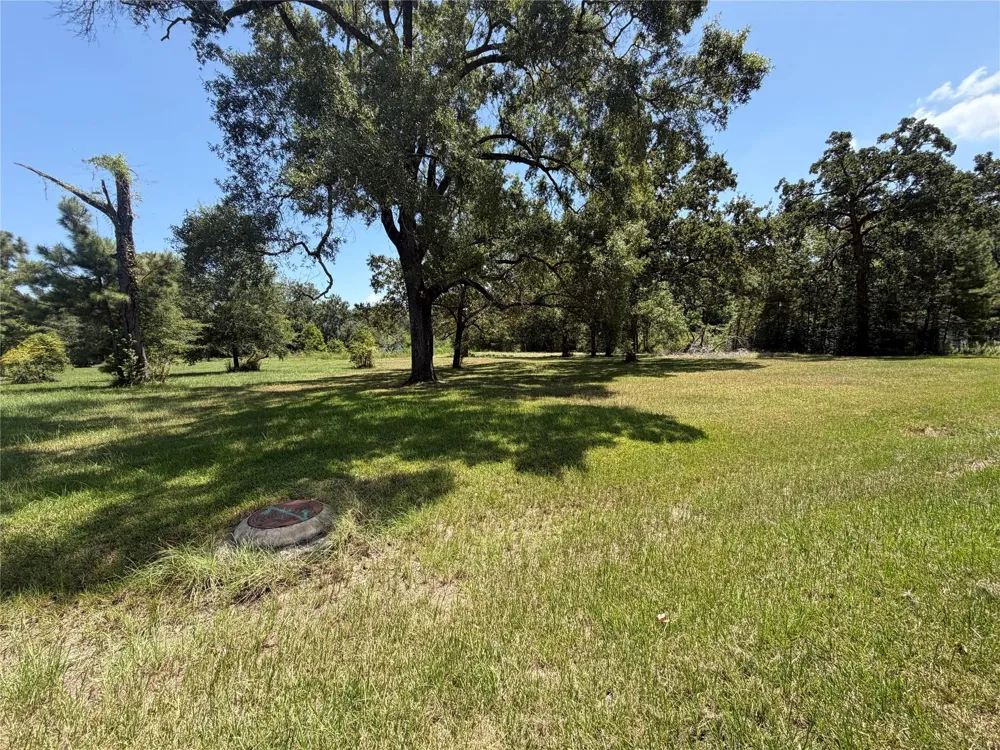 Vale Lane Porter, TX 77365