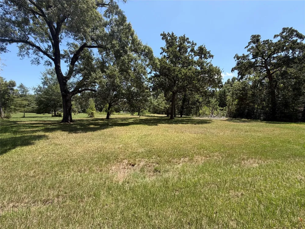 Vale Lane Porter, TX 77365