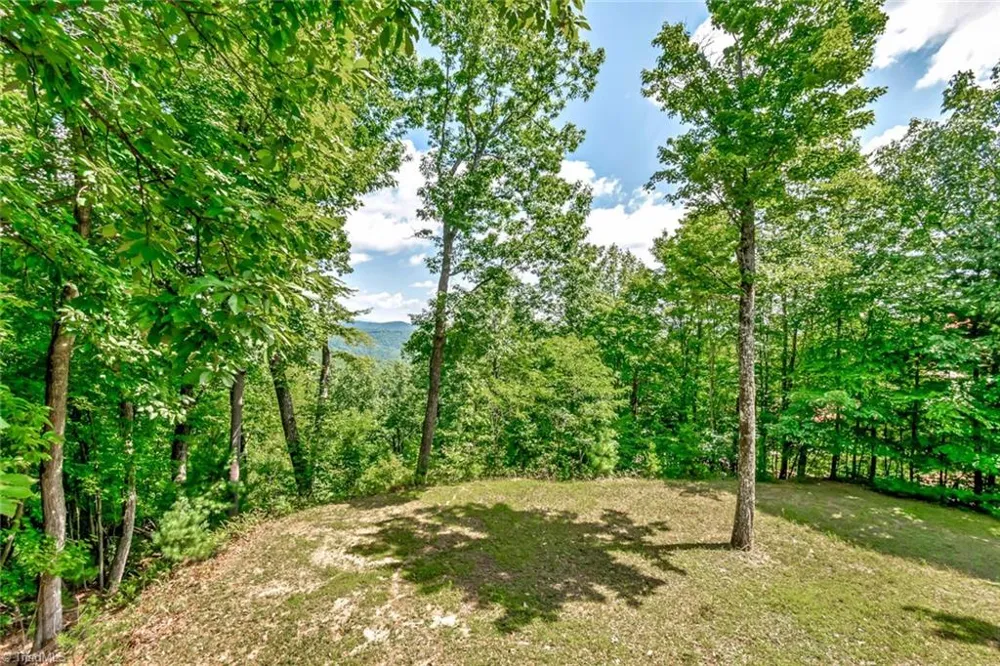 1050 Staghorn Road Purlear, NC 28665