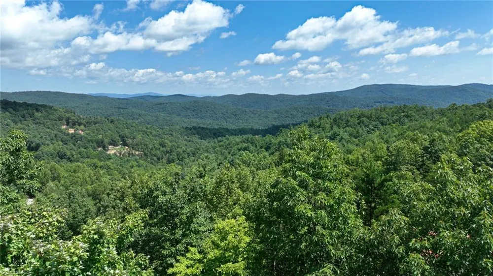1050 Staghorn Road Purlear, NC 28665