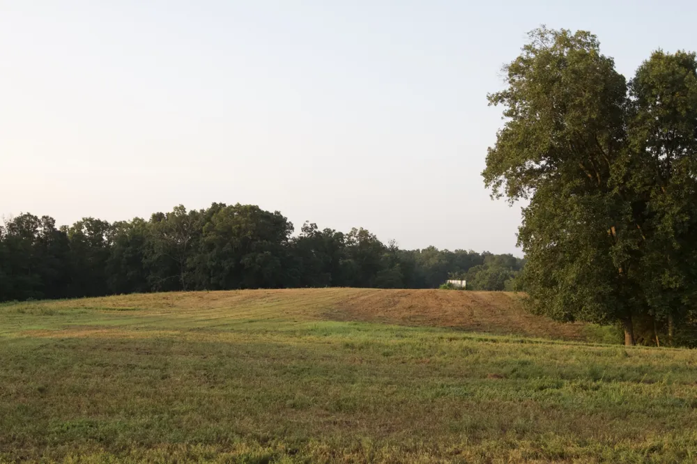 3393 Slayden Marion Rd Cumberland Furnace, TN 37051