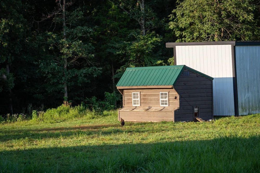 3393 Slayden Marion Rd Cumberland Furnace, TN 37051