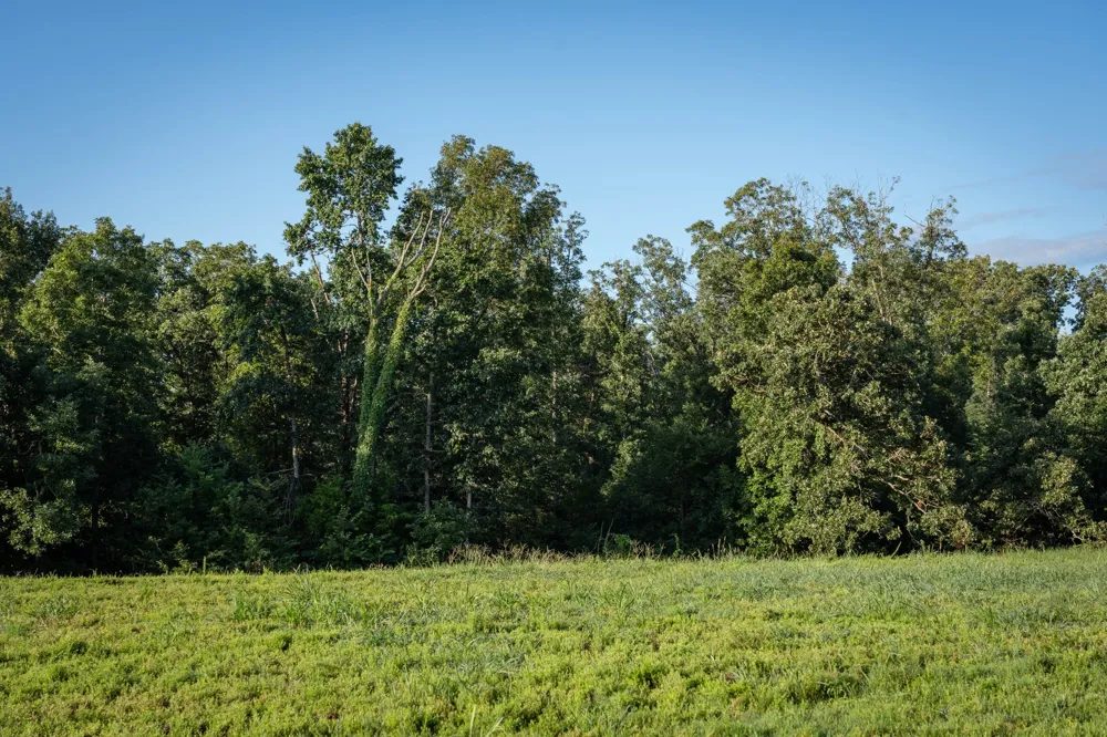 3393 Slayden Marion Rd Cumberland Furnace, TN 37051