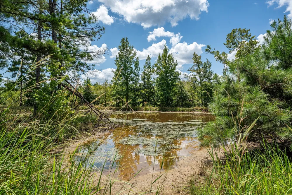 4358 E County Road 367 Henderson, TX 75654
