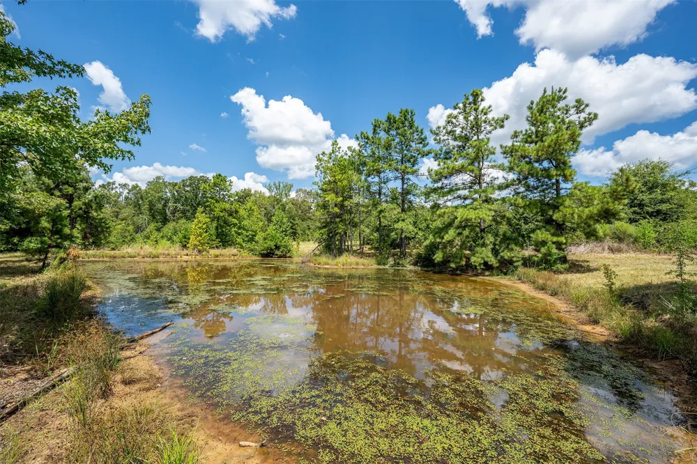 4358 E County Road 367 Henderson, TX 75654