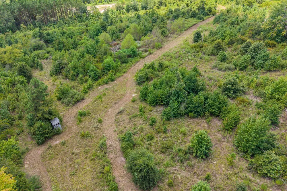 4358 E County Road 367 Henderson, TX 75654