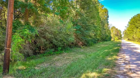 28 Timber Grove