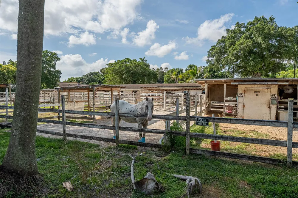 5100 SW 64TH AVENUE #204A Davie, FL 33314