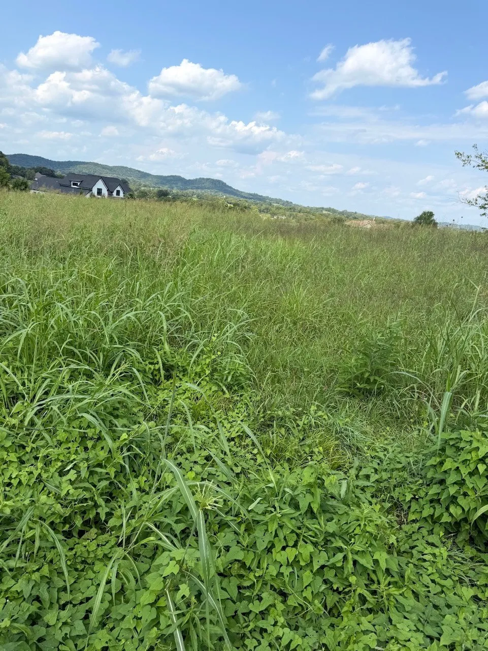 0 31 Highway E Gallatin, TN 37066