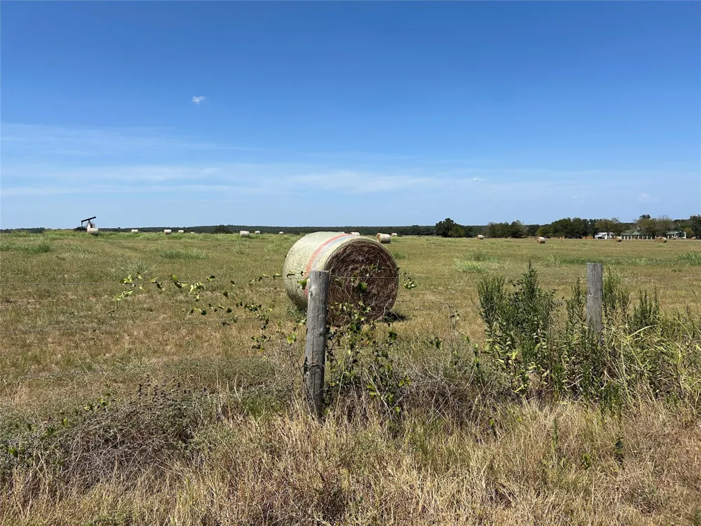 E Sh 21 Paige, TX 78659