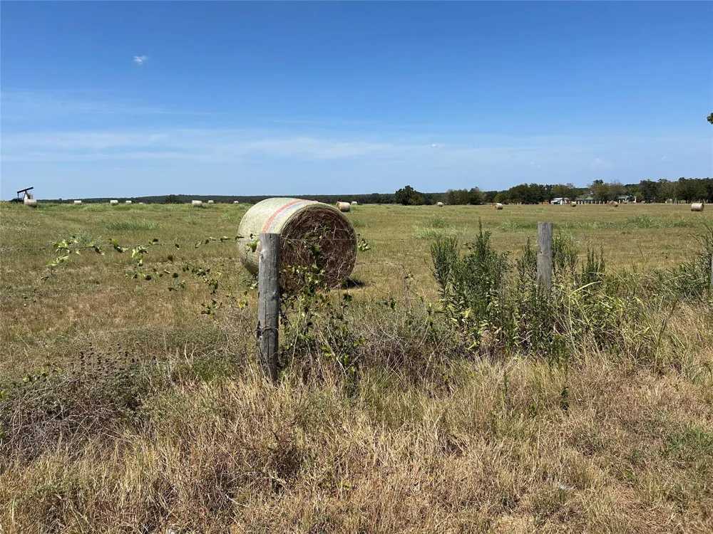 E Sh 21 Paige, TX 78659