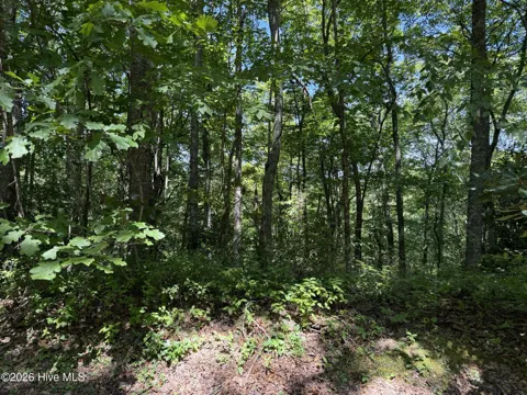 Lot 3 Amber Lane