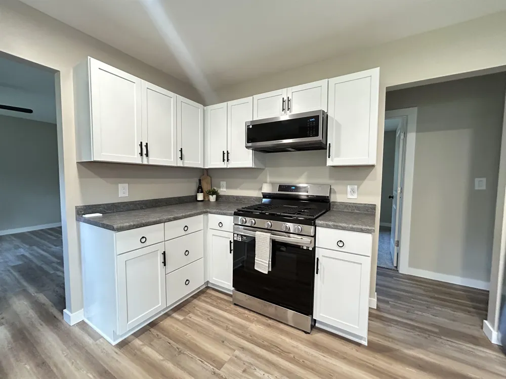4358 S Manor Wood Drive Blair Township, MI 49685
