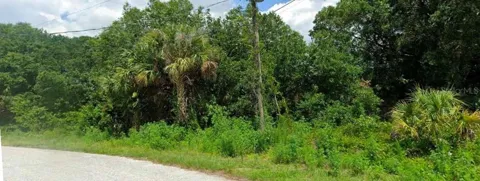 JINRIGHT ROAD
