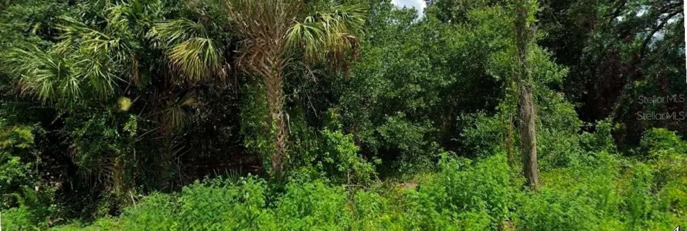 JINRIGHT ROAD North Port, FL 34288