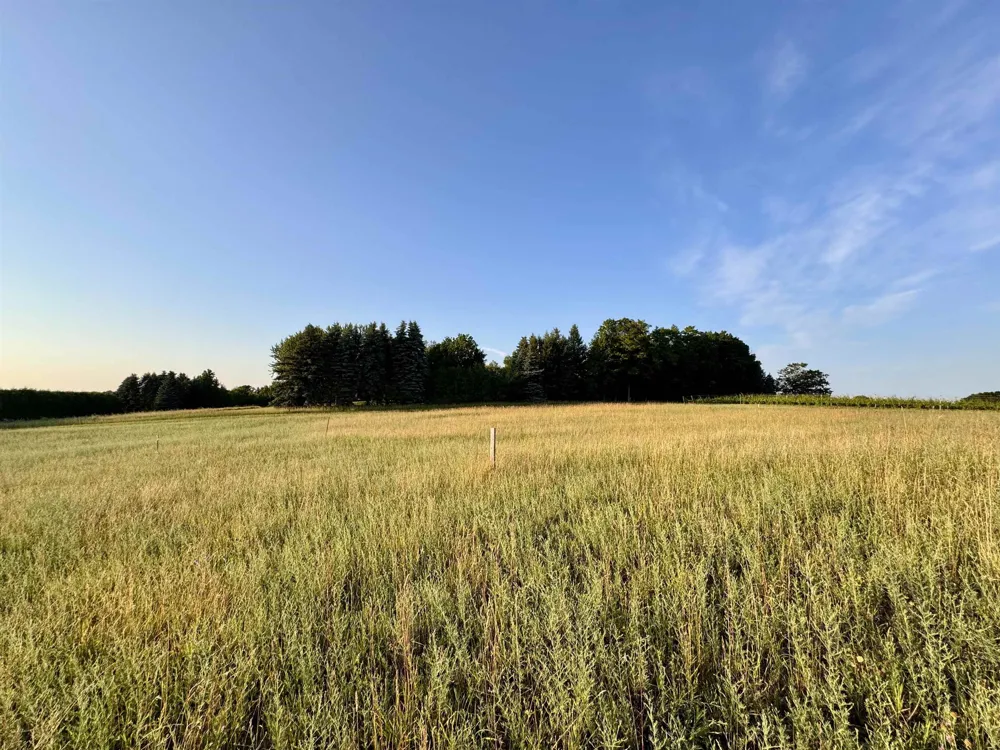 1 Cavalieri Court Peninsula Township, MI 49686